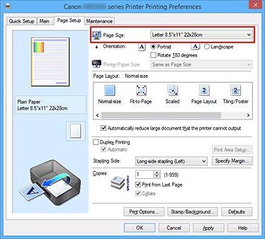 figura:Page Size din fila Page Setup