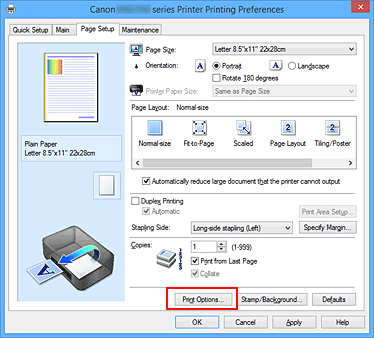 figure:Print Options... on the Page Setup tab