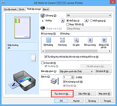 hình: Tùy chọn in... trên tab Thiết lập trang