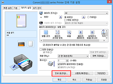 그림: [페이지 설정] 탭의 [인쇄 옵션...]