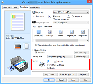 figure:Copies on the Page Setup tab