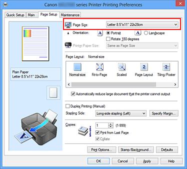 figura:Page Size din fila Page Setup