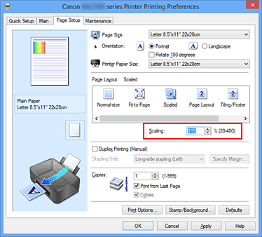 figura:Scaling din fila Page Setup