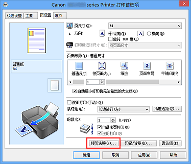 插图：“页设置”选项卡上的“打印选项...”