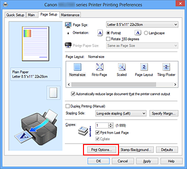 figura:Print Options... din fila Page Setup