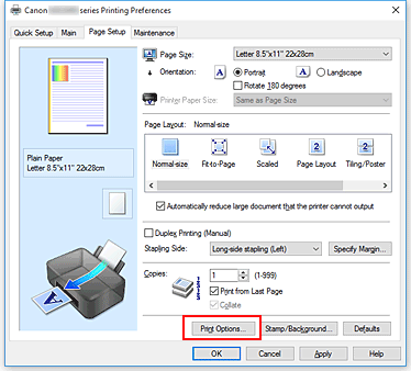 figura:Print Options... din fila Page Setup