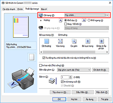hình: Chọn Tùy chỉnh cho Cỡ trang trên tab Thiết lập trang