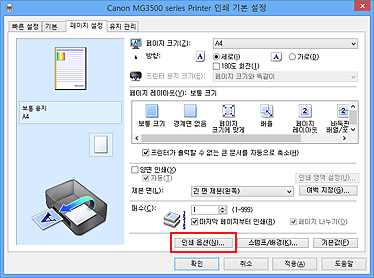 그림: [페이지 설정] 탭의 [인쇄 옵션...]