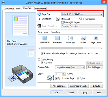 figura:Page Size din fila Page Setup