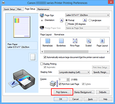 figure:Print Options... on the Page Setup tab