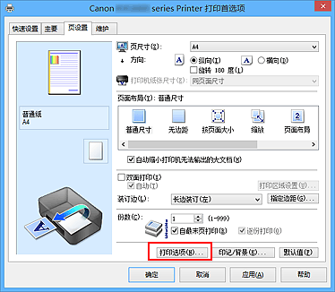 插图：“页设置”选项卡上的“打印选项...”