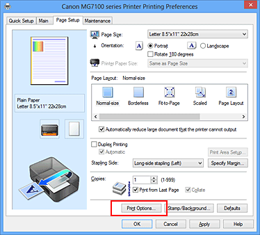 figura:Print Options... din fila Page Setup