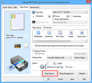 фигура: „Print Options...” в раздела „Page Setup”