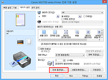 그림: [페이지 설정] 탭의 [인쇄 옵션...]