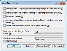 gambar: Kotak dialog Opsi Pencetakan