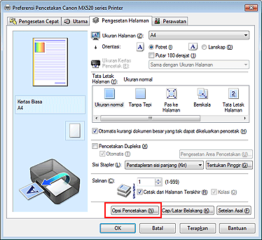 gambar: Opsi Pencetakan... pada tab Pengesetan Halaman