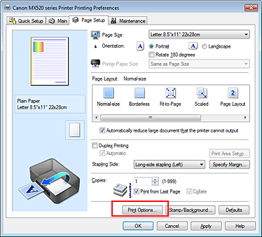 figura:Print Options... din fila Page Setup