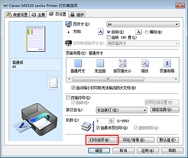 插图：“页设置”选项卡上的“打印选项...”