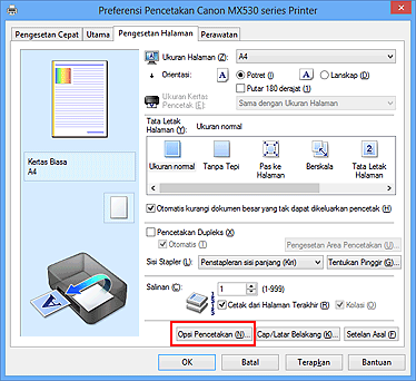 gambar: Opsi Pencetakan... pada tab Pengesetan Halaman