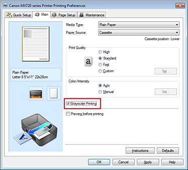 pav.: Spausdinimo pilkio pustoniais žymimasis langelis pagrindinių nuostatų skirtuke
