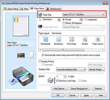 figura:Page Size din fila Page Setup