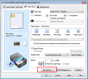 фигура: „Print Options...” в раздела „Page Setup”