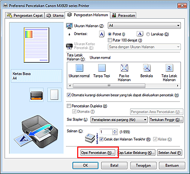 gambar: Opsi Pencetakan... pada tab Pengesetan Halaman
