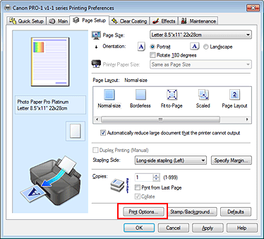 фигура: „Print Options...” в раздела „Page Setup”