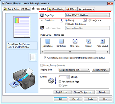 figura:Page Size din fila Page Setup