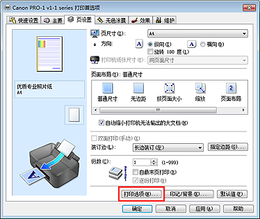 插图：“页设置”选项卡上的“打印选项...”