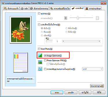 ภาพ:เช็คบ็อกซ์ Image Optimizer บนแท็บ 'เอฟเฟ็กซ์'