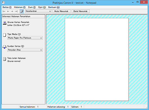 gambar: Pratinjau Canon IJ