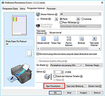 gambar: Opsi Pencetakan... pada tab Pengesetan Halaman