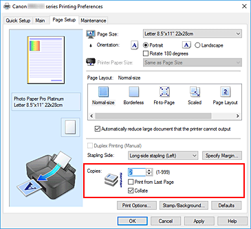 slika: možnost Copies na kartici Page Setup