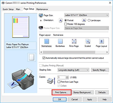 slika: možnost Print Options... na kartici Page Setup