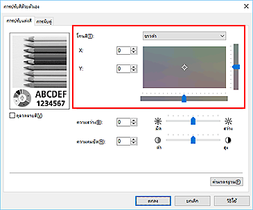 ภาพ: "โทนสี" ในไดอะล็อกบ็อกซ์ "การปรับสีด้วยตัวเอง"