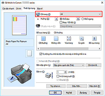 hình: Cỡ trang trên tab Thiết lập trang