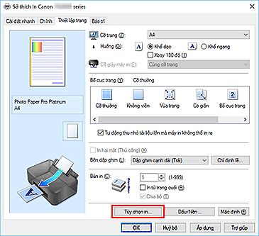 hình: Tùy chọn in... trên tab Thiết lập trang