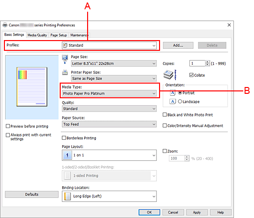 Imagen:Perfiles en la ficha Configuración básica