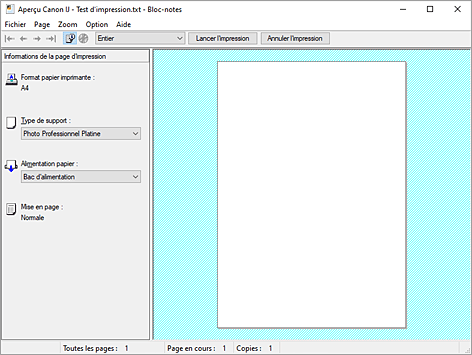 figure&nbsp;: Aperçu Canon IJ