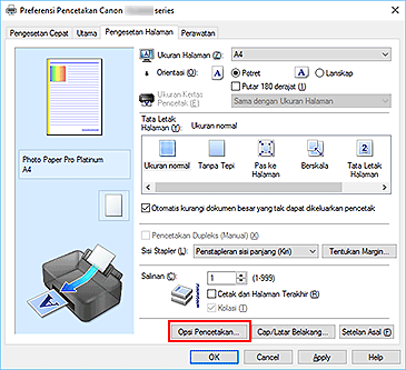 gambar: Opsi Pencetakan... pada tab Pengesetan Halaman