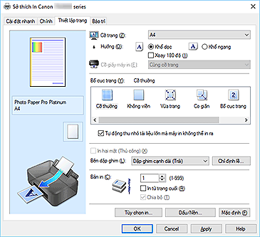 hình: Tab Thiết lập trang