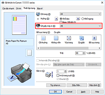 hình: Cỡ giấy máy in trên tab Thiết lập trang