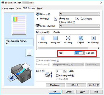 hình: Tỉ lệ trên tab Thiết lập trang