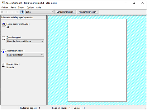 figure&nbsp;: Aperçu Canon IJ