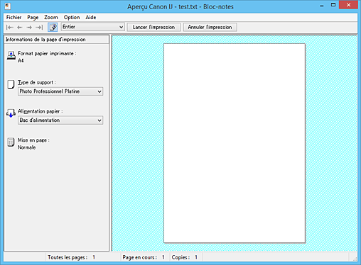 figure&nbsp;: Aperçu Canon IJ