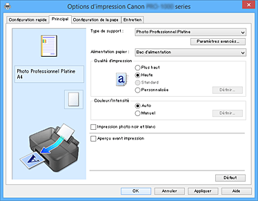figure&nbsp;: Onglet Principal
