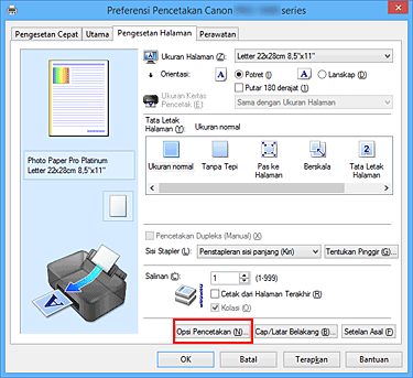 gambar: Opsi Pencetakan... pada tab Pengesetan Halaman