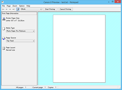 figura: Visualização Canon IJ