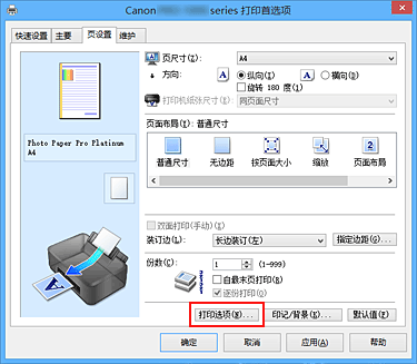 插图：“页设置”选项卡上的“打印选项...”